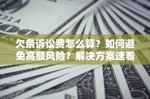 济南欠条诉讼费怎么算？如何避免高额风险？解决方案速看！